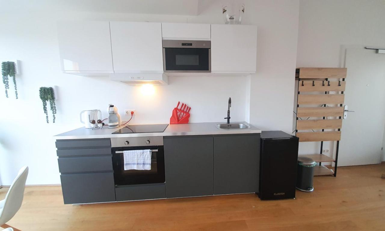 Rooftop Terrace, Free Garage Parking And Pool! Wien Exteriör bild